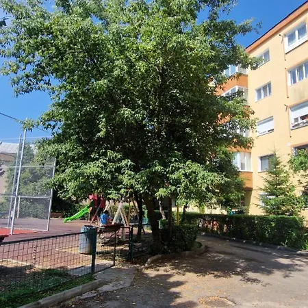 Apartment Brandusa *